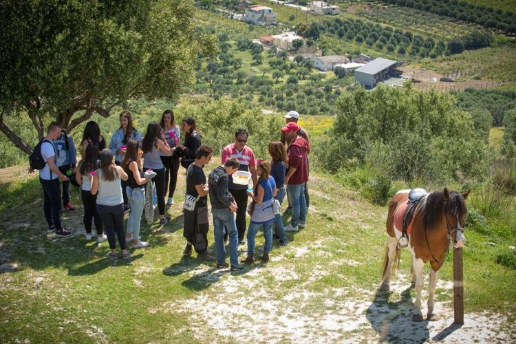 Hersonissos Horseriding (6)