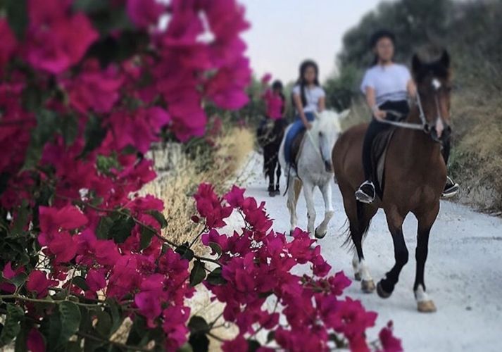 horse-riding
